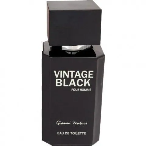 Gianni Venturi Vintage Black perfume bottle