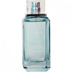 Gianni Venturi Colors Blue pour Homme perfume bottle