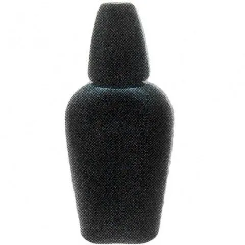 Wind for Men parfüm şişesi