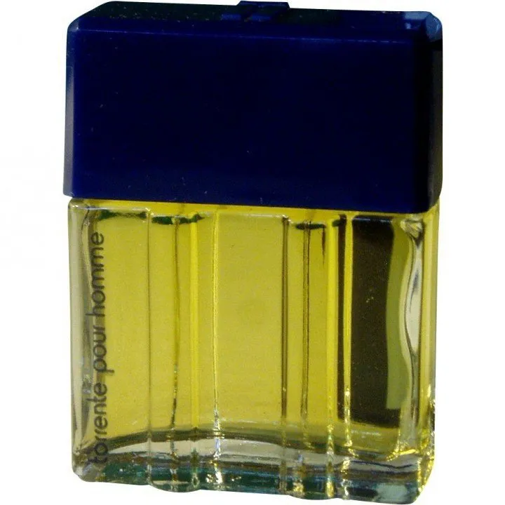 Torrente pour Homme (Eau de Toilette) parfüm şişesi