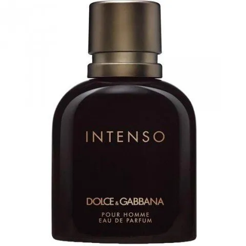 Dolce & Gabbana pour Homme Intenso (Eau de Parfum) parfüm şişesi