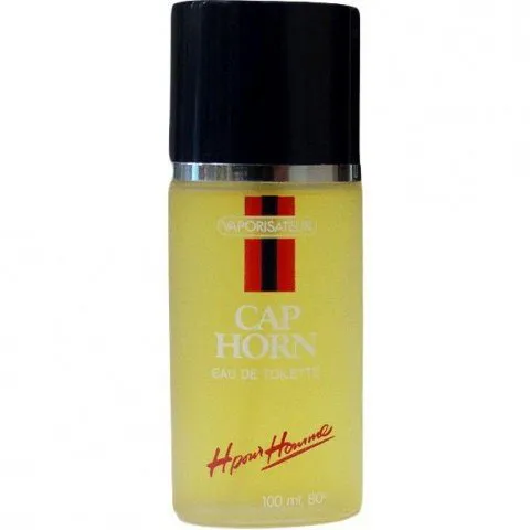 Gemey H pour Homme - Cap Horn parfüm şişesi