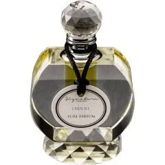 Signature Fragrances Endure parfüm şişesi