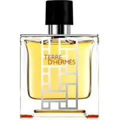Hermès Terre d'Hermès Flacon H 2013 perfume bottle