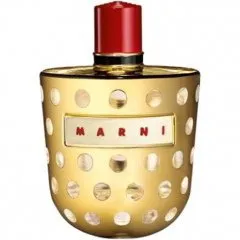 Marni Luxury Edition 2013 - Metallic parfüm şişesi