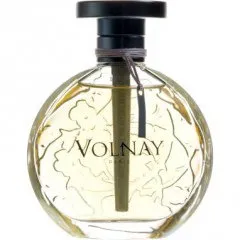 Volnay Ambre de Siam (2016) parfüm şişesi