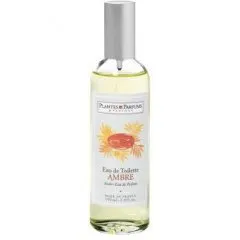 Plantes & Parfums Ambre parfüm şişesi