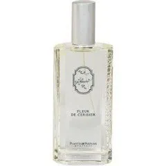 Plantes & Parfums Fleur de Cerisier perfume bottle