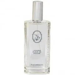 Plantes & Parfums Lavande Fleur de Figuier perfume bottle