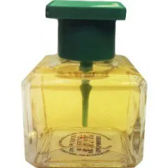 Avon Sheer Essences - Patchouli parfüm şişesi
