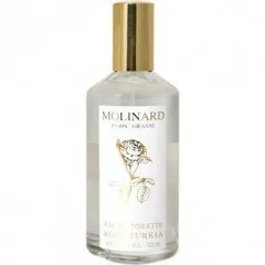 Molinard Rose Turkia (2014) parfüm şişesi