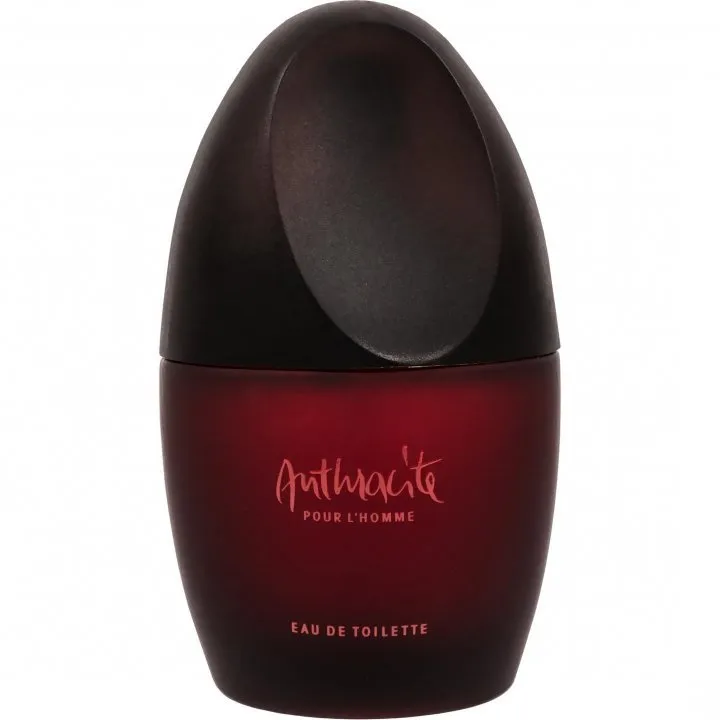 Jacomo Anthracite pour l'Homme (Eau de Toilette) parfüm şişesi
