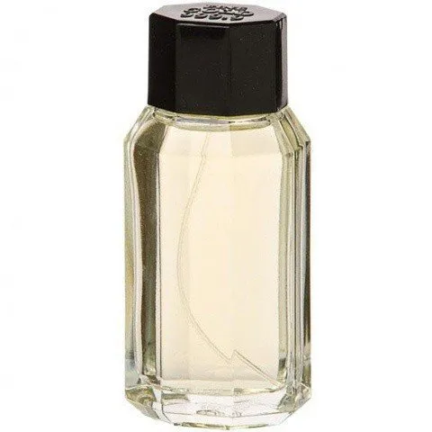 Real Time Fine Gold 999.9 for Men perfume bottle