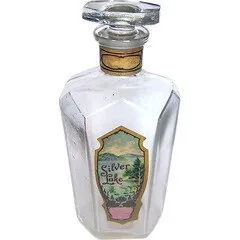 B. D. Baldwin & Co. Silver Lake perfume bottle