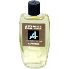 Antoine for Men - Lavender parfüm şişesi