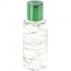 Diptyque Eau Mage (Eau de Parfum) parfüm şişesi