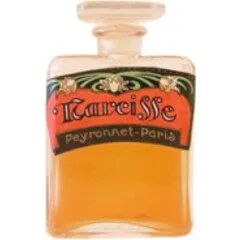 Peyronnet Narcisse perfume bottle