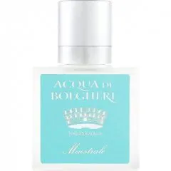 Dr. Taffi Acqua di Bolgheri - Maestrale perfume bottle