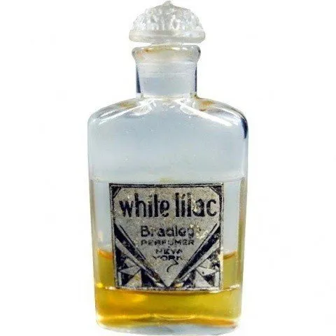 Bradley Perfumer White Lilac perfume bottle