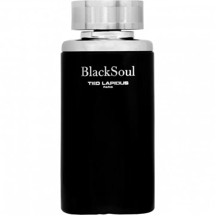 Ted Lapidus BlackSoul (Eau de Toilette) parfüm şişesi