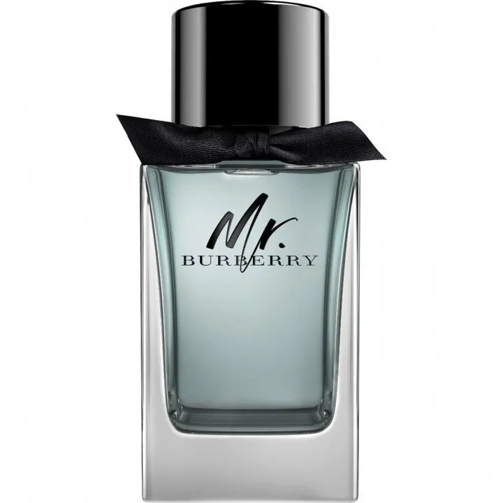Burberry Mr. Burberry (Eau de Toilette) parfüm şişesi