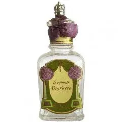 Dalton Extrait Violette parfüm şişesi