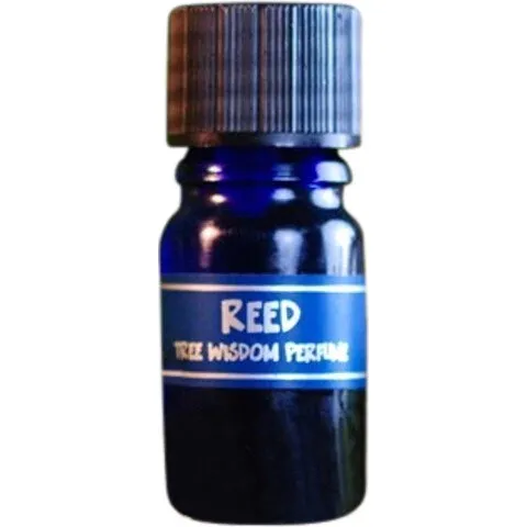Star Child Tree Wisdom Perfume - Reed parfüm şişesi