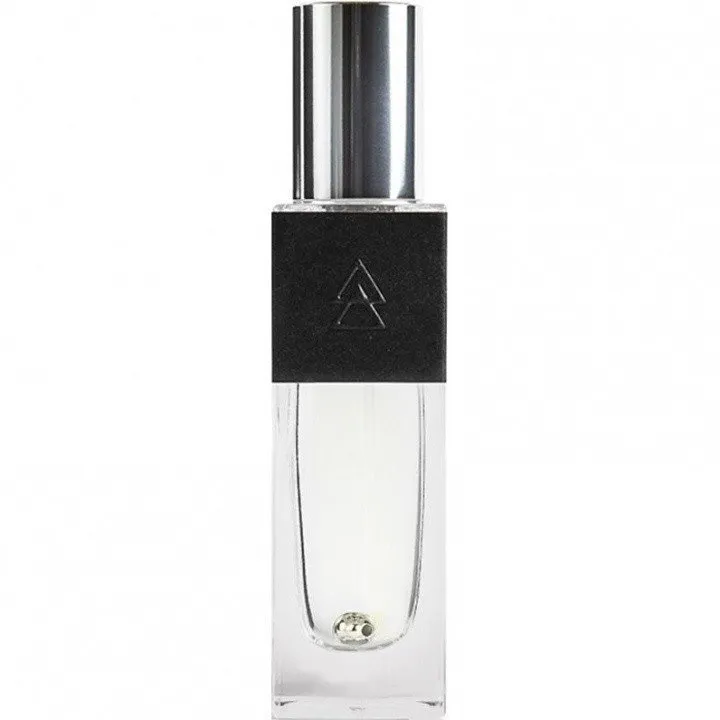 The Sum 2B2926 / The Black perfume bottle