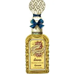 Nogara Extrait Superiéur - Opoponax perfume bottle