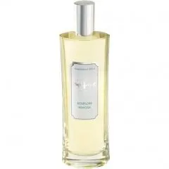 Dame Perfumery Scottsdale Soliflore Mimosa (Eau de Toilette) parfüm şişesi