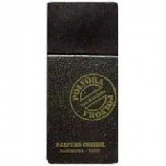 Parfums Codibel Polvora perfume bottle
