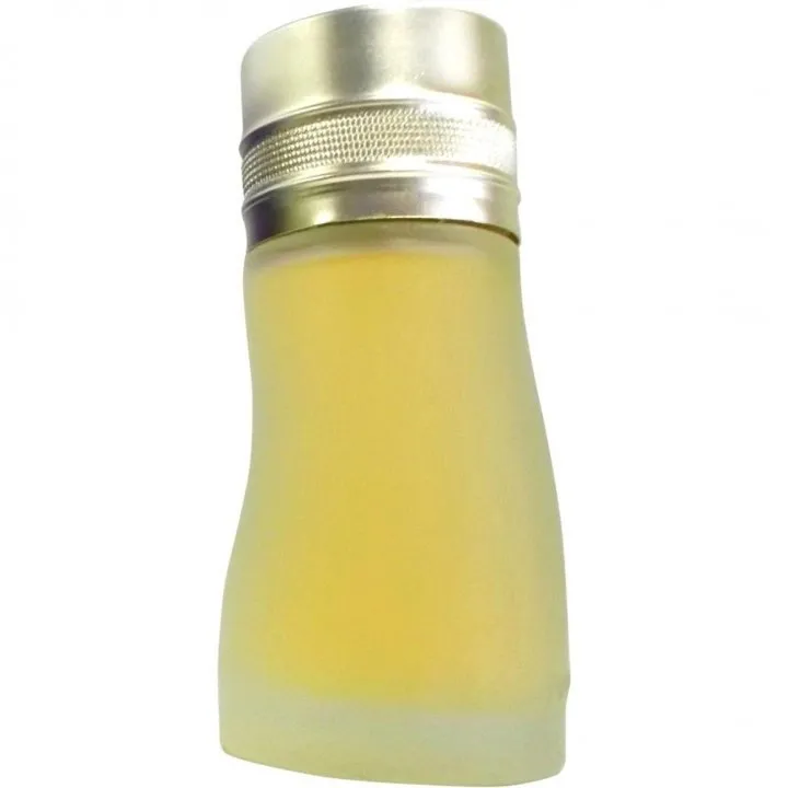 Parfums Codibel Gaudi pour Homme perfume bottle