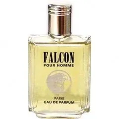 Les Parfums de Grasse Falcon pour Homme parfüm şişesi