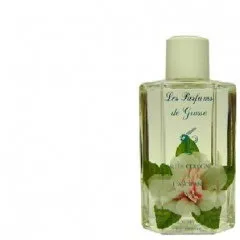 Les Parfums de Grasse Eau de Cologne à l'Ancienne - Jasmin parfüm şişesi