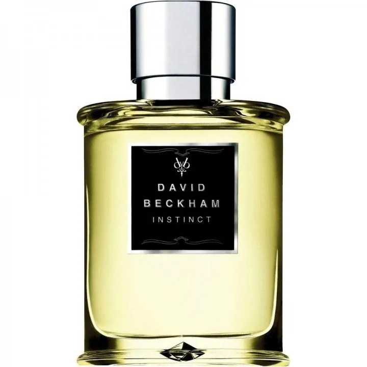 David Beckham Instinct (Eau de Toilette) parfüm şişesi