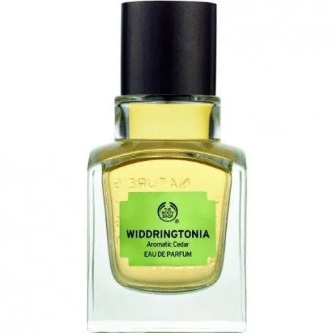 The Body Shop Widdringtonia parfüm şişesi