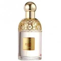 Guerlain Aqua Allegoria Bouquet Numero 1 perfume bottle