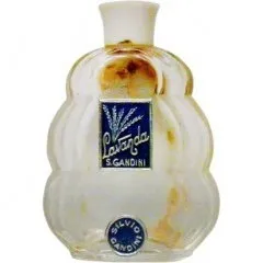 Gandini Lavanda parfüm şişesi