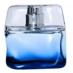 Nicole Farhi Bleu Intense perfume bottle