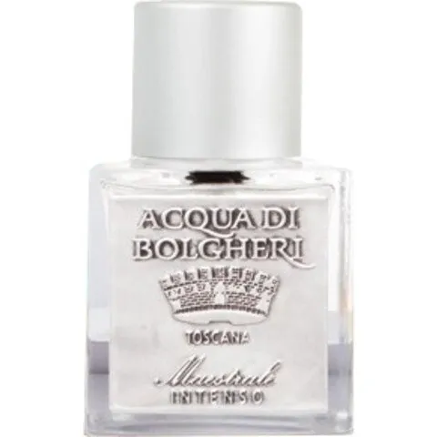 Dr. Taffi Acqua di Bolgheri - Maestrale Intenso perfume bottle