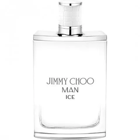 Jimmy Choo Man Ice parfüm şişesi