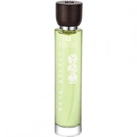 Erborian Nokcha Drop perfume bottle