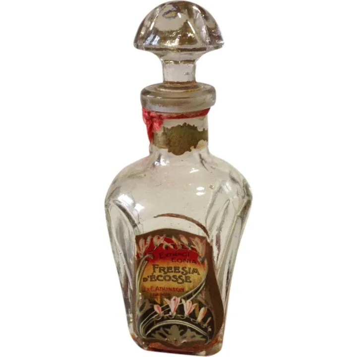 Atkinsons Freesia d'Écosse parfüm şişesi