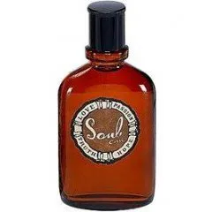 Curve Soul by Curve for Men parfüm şişesi