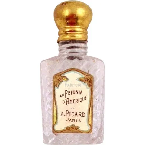 André Picard Au Pétunia d'Amérique parfüm şişesi