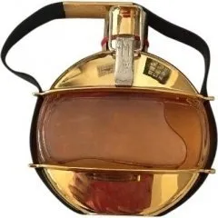 YZY FMJ - Life for Women perfume bottle
