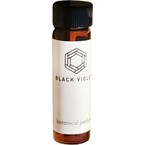 Black Violet Ginger & Lace perfume bottle