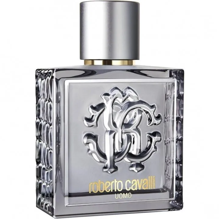 Roberto Cavalli Uomo Silver Essence parfüm şişesi