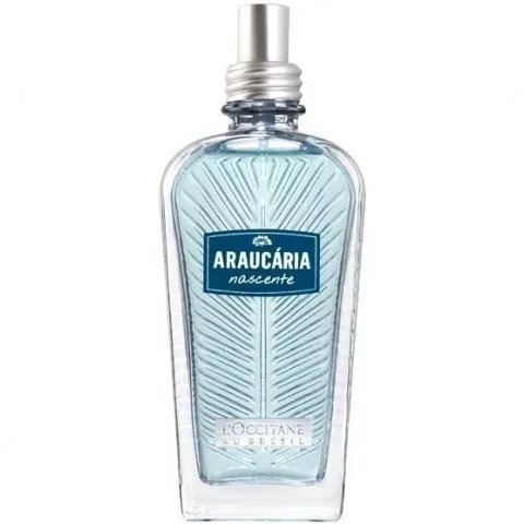 L'Occitane au Brésil Araucária Nascente perfume bottle
