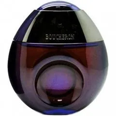 Boucheron Édition Limitée Noël 2004 parfüm şişesi